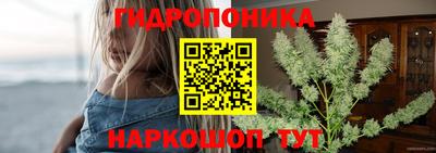 прущие крисы Заводоуковск