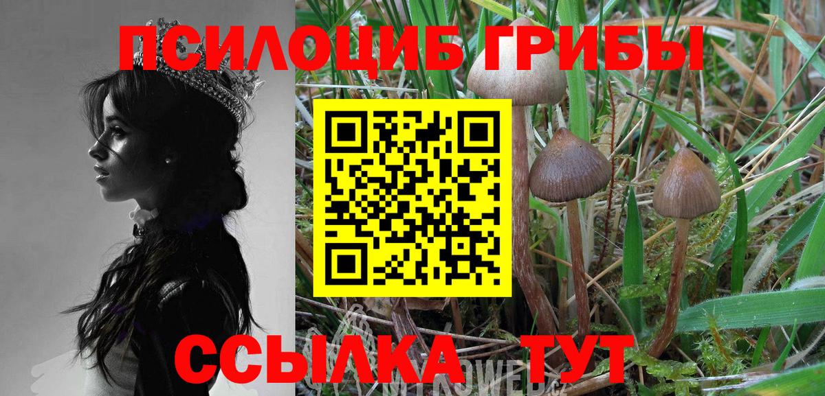 Псилоцибиновые грибы прущие грибы  Псилоцибиновые грибы прущие грибы  Вход с VPN  Калач-на-Дону 