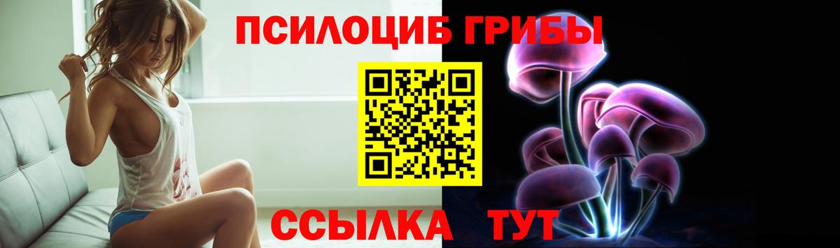 Галлюциногенные грибы Cubensis Калач-на-Дону